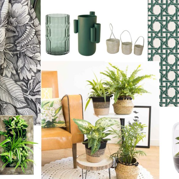 moodboard déco végétale